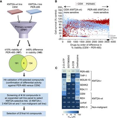 Systematic In Vitro Evaluation of a Library of Approved and Pharmacologically Active Compounds for the Identification of Novel Candidate Drugs for KMT2A-Rearranged Leukemia